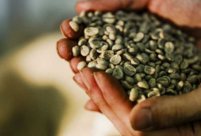 �y������̒ʔ� ������������̐���