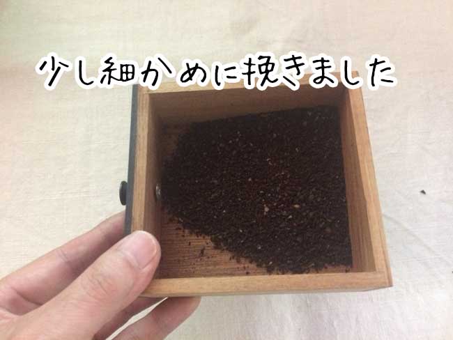 �y������ʔ� ����🹂��