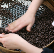 �y������̒ʔ� �l�C�����Z�b�g